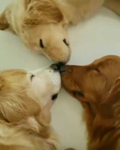 Triple boop!