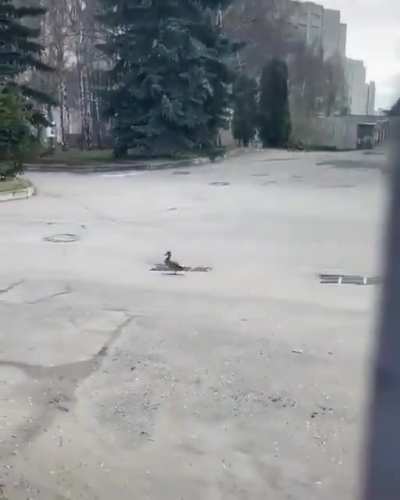 Well, that really sucks.