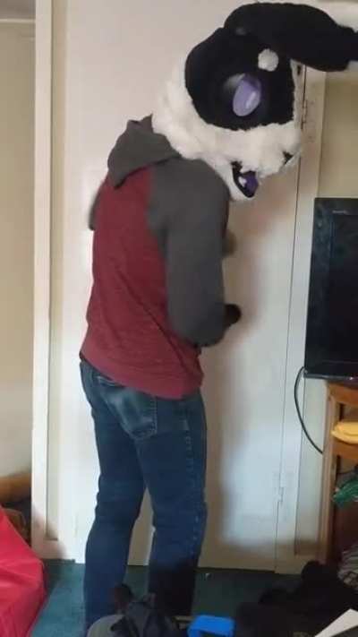 Beanless_irl