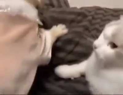Fatality