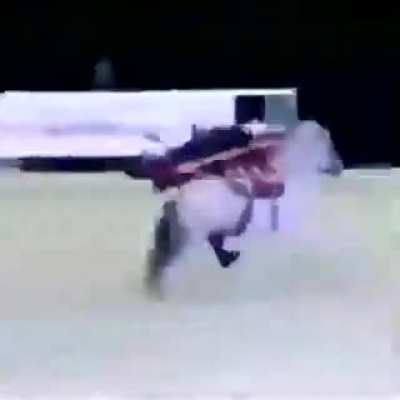 Horsebulance