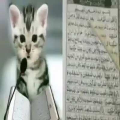 Beautiful pussy Arab insha'Allah
