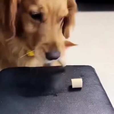 Sharing is caring..