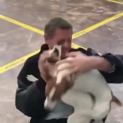 Master returns from a trip