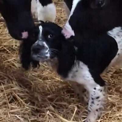 "Looks like I'm one of them now"