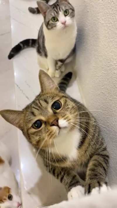 Those eyes tho.