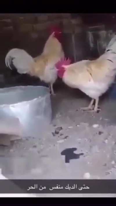 Not in the mood