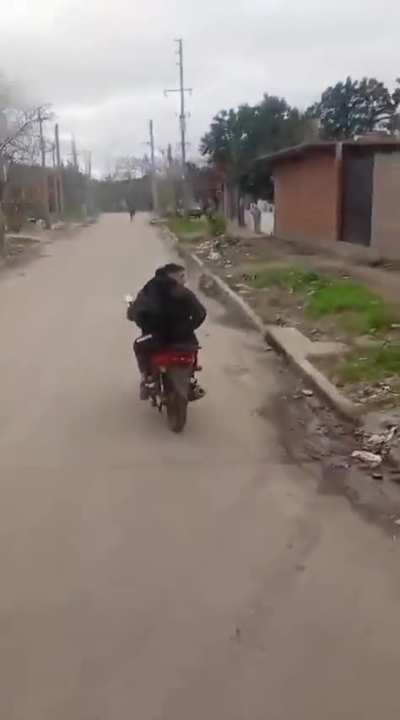 Colectivero de la línea 620 presenció un robo en proceso y encerró a los delincuentes con el bondi