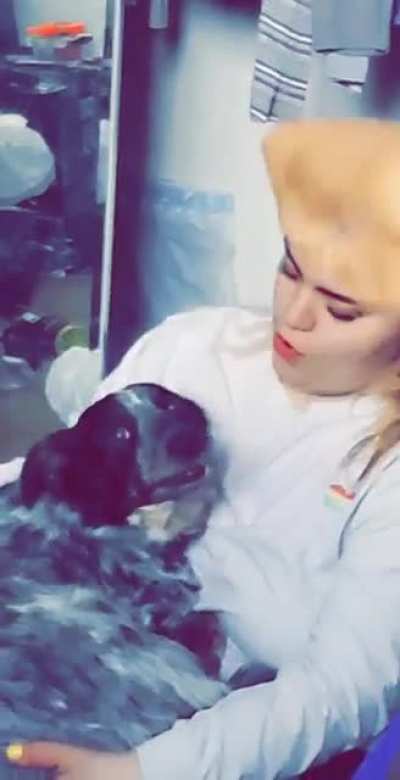 Our Blue Heeler hates being talked to like a dog