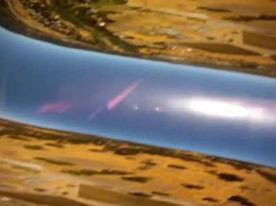 Camera falls from airplane and lands in pig pen