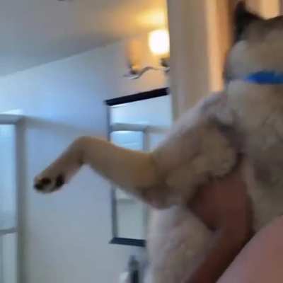 NOT THE BATH! AANYTHING BUT THAT