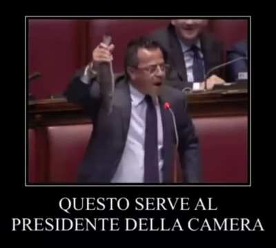 spigola rule