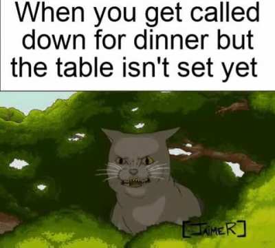 Oddly Terrifying Cat