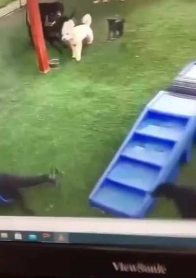 Are u okay?