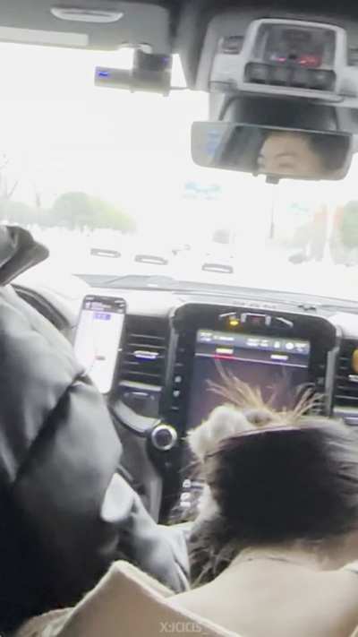 backseat