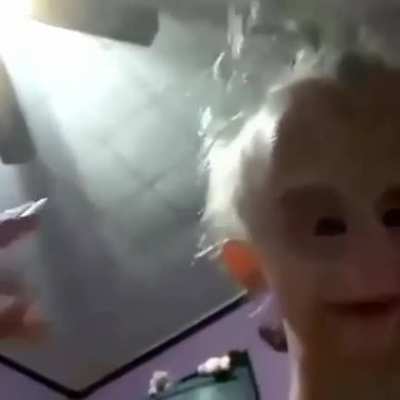 Esta pal a&ntilde;a&ntilde;in 😤🖕
