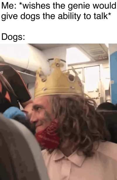 Dogs are racist