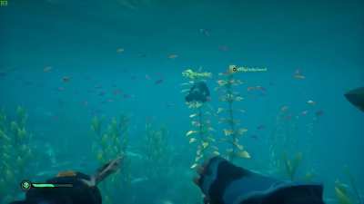 I was Playing Sea of Thieves and then this happened....