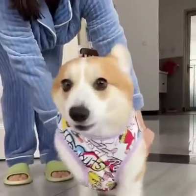 Maybe maybe maybe