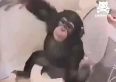 🐵🚽