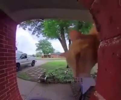 Mow