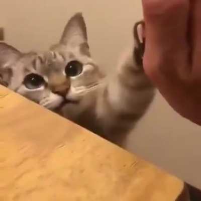 Blursed_friend