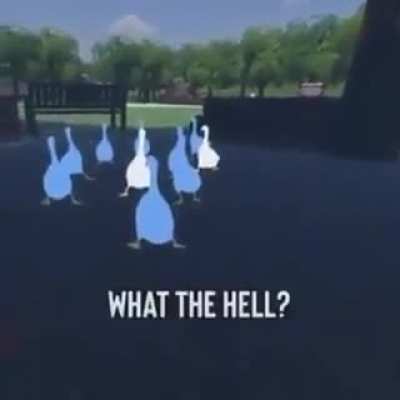 Quack