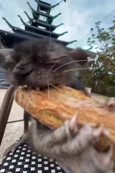 WUNK FUCKING LOOOVES ZE BAGUETTE WI WI