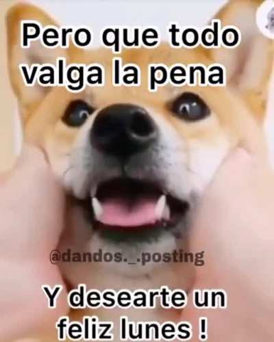 Feliz lunes