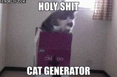 Damm cat