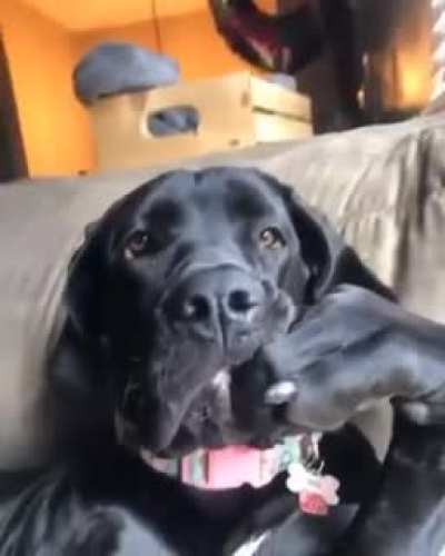 He's thinking about something very important !!
