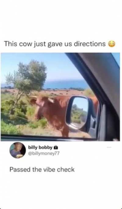 hmm