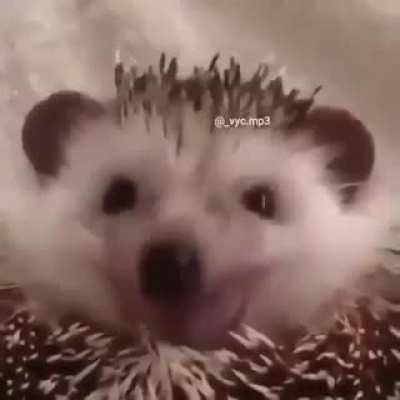 😡🙂