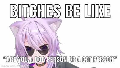Think about it. How many stray dogs have you seen? Now think about how many stray cats you&rsquo;ve seen.