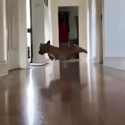 A+ recovery
