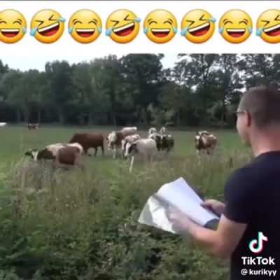 "yo look he's speaking our language"-🐮