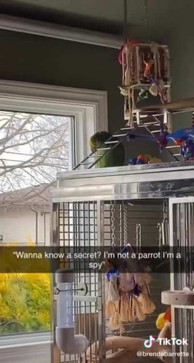 He just confessed