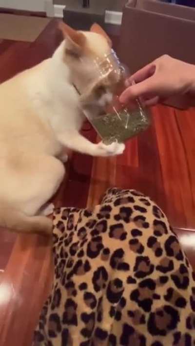 When the cat nips a little too much.