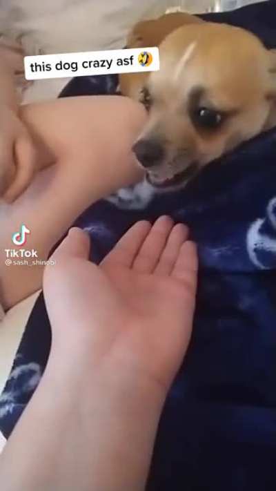 Knew this was a perfect fit for this Sub
