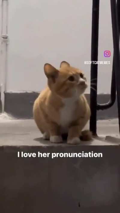 Grammatically Correct Wunk
