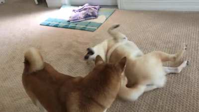 Play time