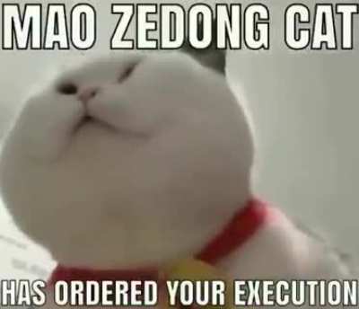 Any last words?
