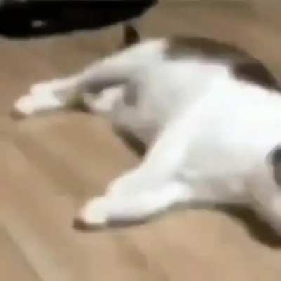 Good night homies