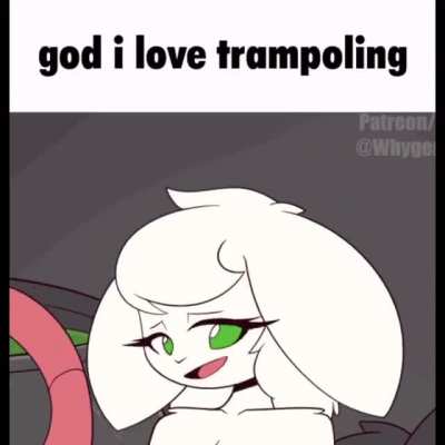 Pound_irl