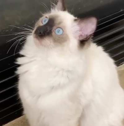 He has seen things&hellip;