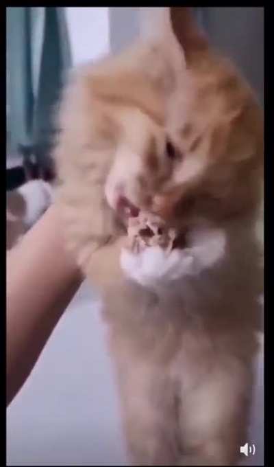 He drop da chicken