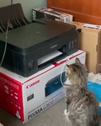 print.exe