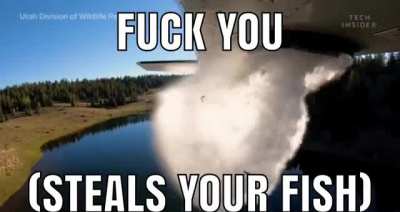 Took your fish idiot 😎😎😎😈