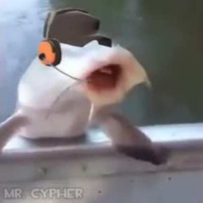 Edited version of fish drinking soda maybe?
