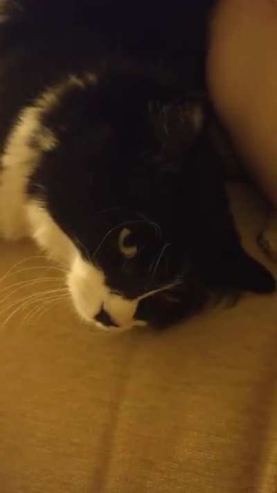 Sterling Archer loves a long and thoughtful squeakversation